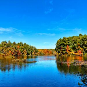 Foliage in New England Paesaggio