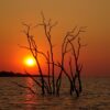Viaggio in Zimbabwe-tramonto